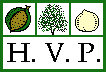 HVP logo